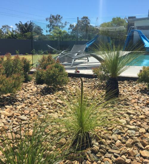 Pool Landscaping Gladstone